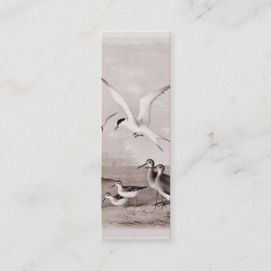 zeegarens Gepersonaliseerd de Sjabloon van de Ret Mini Visitekaartje (Voorkant)