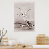 zeegarens Gepersonaliseerd de Sjabloon van de Ret Poster (Keuken)