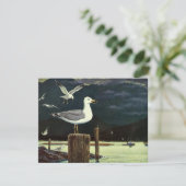  zeegarmeeuw doorboord pier, zeevogels (Staand voorkant)