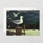 zeegarmeeuw doorboord pier, zeevogels briefkaart (Voorkant / Achterkant)