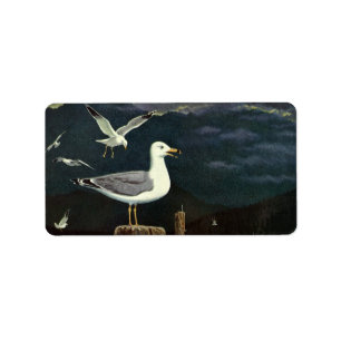  zeegarmeeuw doorboord pier, zeevogels etiket