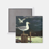 zeegarmeeuw doorboord pier, zeevogels magneet (Voorkant / Achterkant)