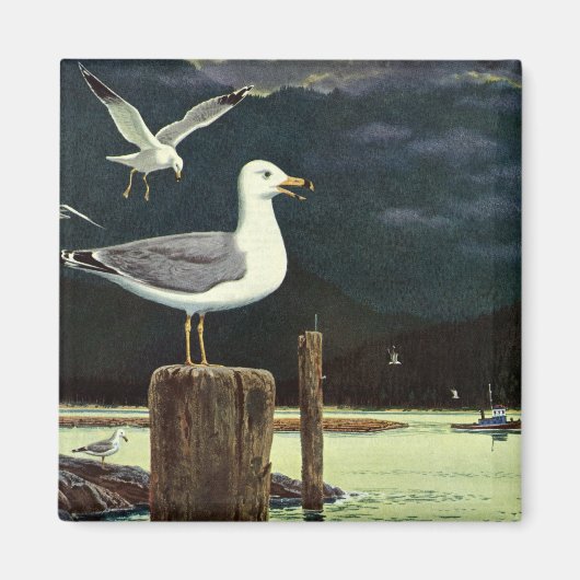 zeegarmeeuw doorboord pier, zeevogels magneet (Voorkant)