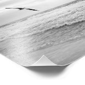 Zeegarmeeuw over de oceaan zwart-wit foto afdruk (Hoek)