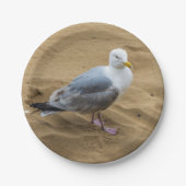 Zeegarnaal op een bord van strandpapier (Voorkant)