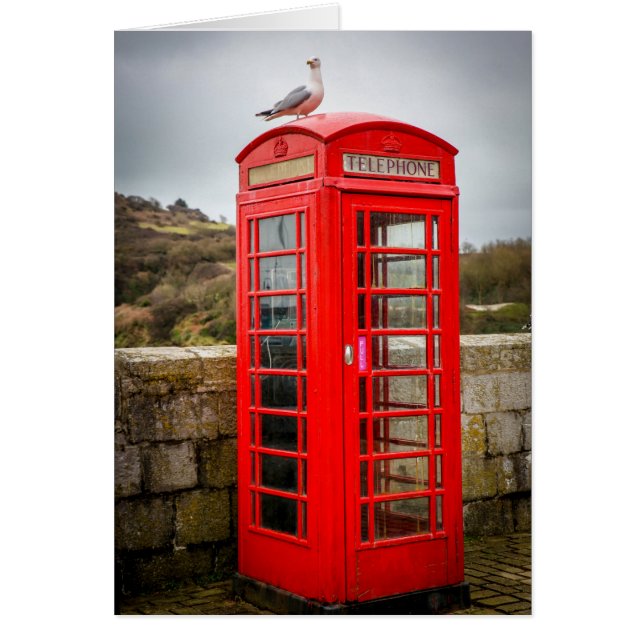 Zeegarnaal op telefoondoos (Voorkant)