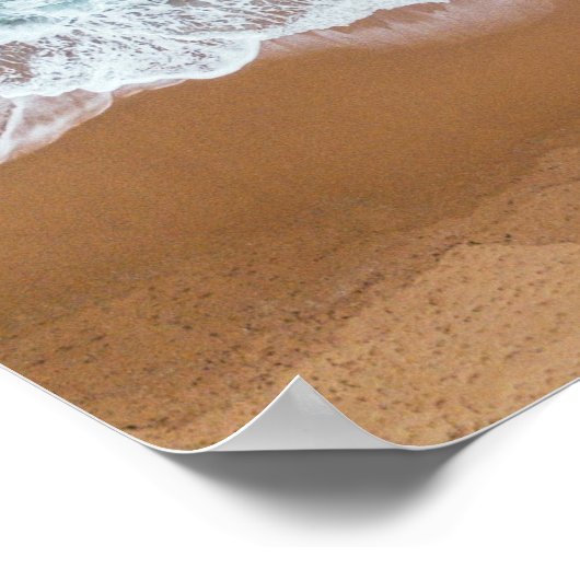 Zeegarnaal over het Zee Shore Poster (Hoek)