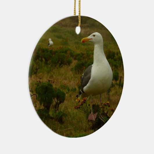 Zeegarren op het eiland Anacapa Keramisch Ornament (Rechts)