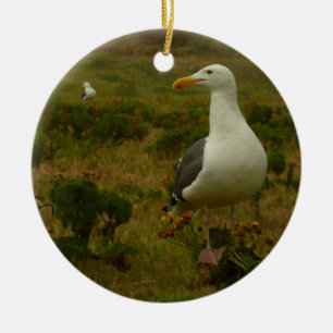 Zeegarren op het eiland Anacapa Keramisch Ornament