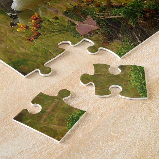 Zeegarren op het eiland Anacapa Legpuzzel (Zijkant)