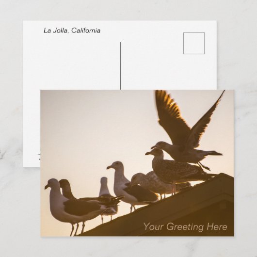 Zeegarren op zonsondergang, op maat gesneden briefkaart (Voorkant / Achterkant)