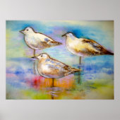 Zeegarren - Poster (Voorkant)