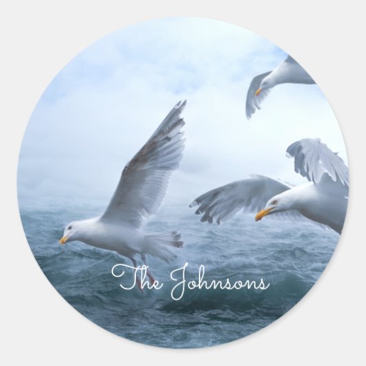 Zeegarren Vlucht over het Zee Ronde Sticker (Voorkant)