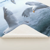 Zeegarren Vlucht over het Zee Sherpa Deken (3/4)