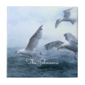 Zeegarren Vlucht over het Zee Tegeltje (Voorkant)