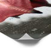 Zeegelaar Feet Poster (Hoek)