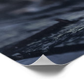 Zeegelaars Foto Poster (Hoek)