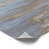 Zeegelaars op doorsnede Poster (Hoek)