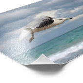 Zeegelvlucht Foto Afdruk (Hoek)