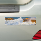 Zeegezicht Bumpersticker (Op auto)