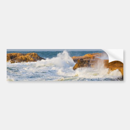Zeegezicht Bumpersticker (Voorkant)