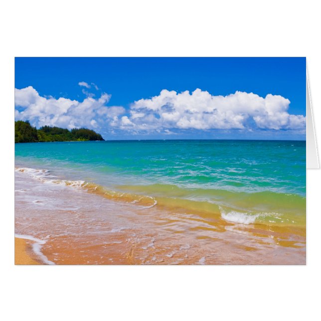 Zeegezicht langs Hanalei Bay (Voorkant Horizontaal)