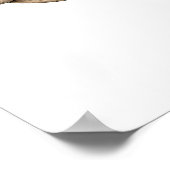 Zeeglas Oog Poster (Hoek)