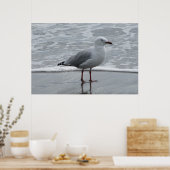 Zeegleed nabij de rand van het water poster (Keuken)