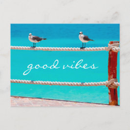 Zeegmeeuw vogels foto goed vibes script citaat briefkaart