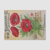  zeegrasbassins voor zeeduivel, schroot van 1913 tissuepapier (Voorkant)