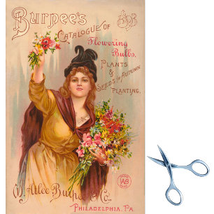 zeegrasvelden 1893 tissuepapier
