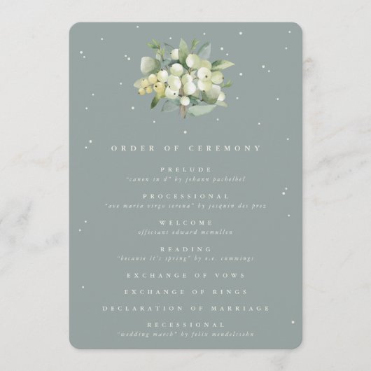 Zeegroene Sneeuwbes + Eucalyptus Boeket Bruiloft Programmakaart (Voorkant)