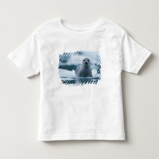 zeehaven van de stille oceaan, Phoca vitulina rich Kinder Shirts (Voorkant)