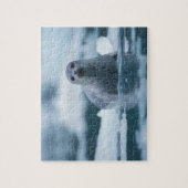 zeehaven van de stille oceaan, Phoca vitulina rich Legpuzzel (Verticaal)