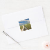 Zeehaver (Uniola paniculata) groeiend langs het st Vierkante Sticker (Envelop)