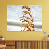 Zeehaver, zeebries canvas afdruk (Insitu (Woonkamer))
