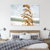 Zeehaver, zeebries canvas afdruk (Insitu (Slaapkamer))