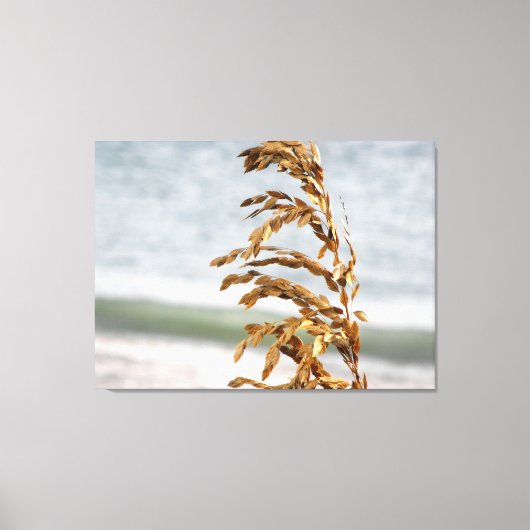 Zeehaver, zeebries canvas afdruk (Voorkant)