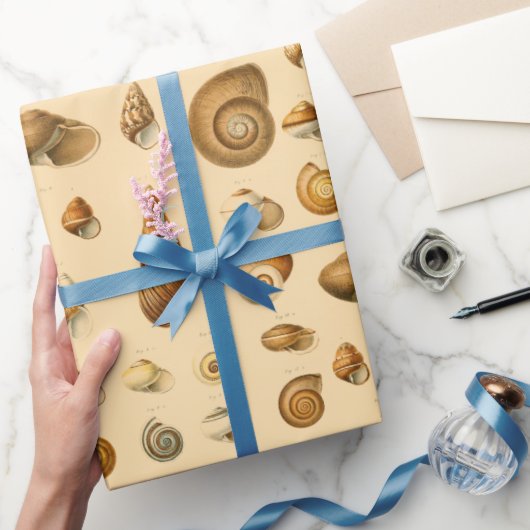  zeehellingsbeoordeling cadeaupapier (Geschenken)