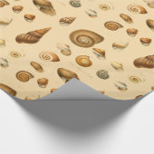  zeehellingsbeoordeling cadeaupapier (Hoek)