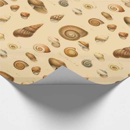  zeehellingsbeoordeling cadeaupapier (Hoek)