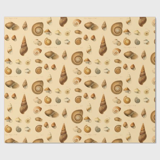  zeehellingsbeoordeling cadeaupapier (Vlak)