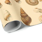  zeehellingsbeoordeling cadeaupapier (Rol Hoek)