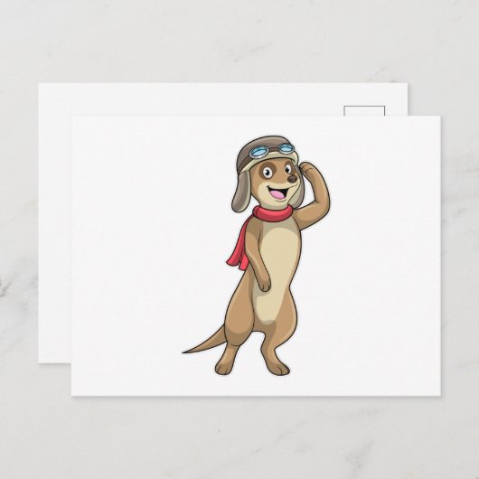 Zeehond als piloot met pilotenhoed briefkaart (Voorkant / Achterkant)