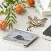 Zeehond - Animal Afbeelding Premium Square Sleutel Sleutelhanger (Zijkant)