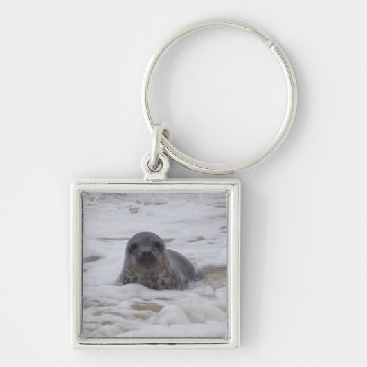 Zeehond - Animal Photo Premium Square Sleutelhange Sleutelhanger (Voorkant)