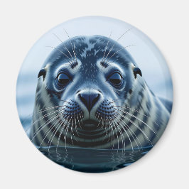 Zeehond Close-up Magneet