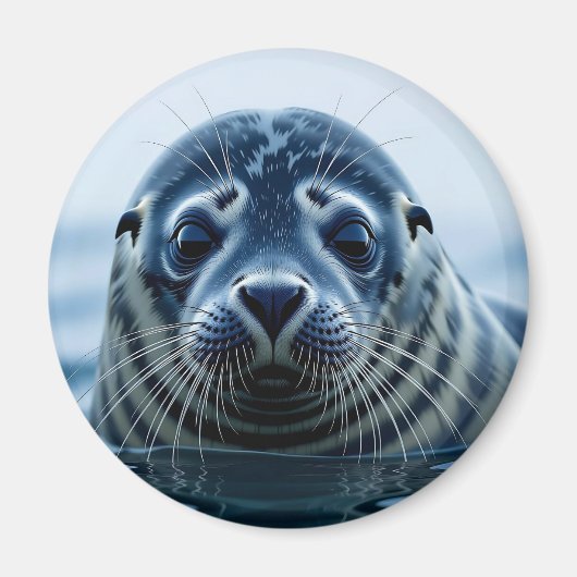 Zeehond Close-up Magneet (Voorkant)