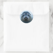 Zeehond Close-up Ronde Sticker (Tas)