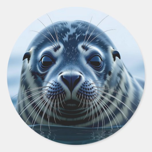 Zeehond Close-up Ronde Sticker (Voorkant)